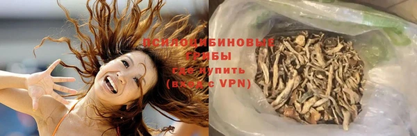 Альфа ПВП Гусев