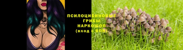 Альфа ПВП Гусев