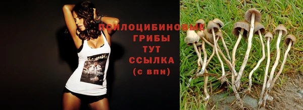 Альфа ПВП Гусев